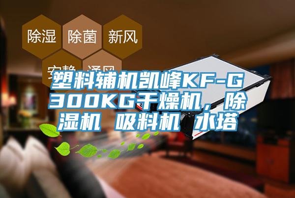 塑料輔機凱峰KF-G300KG干燥機，除濕機 吸料機 水塔