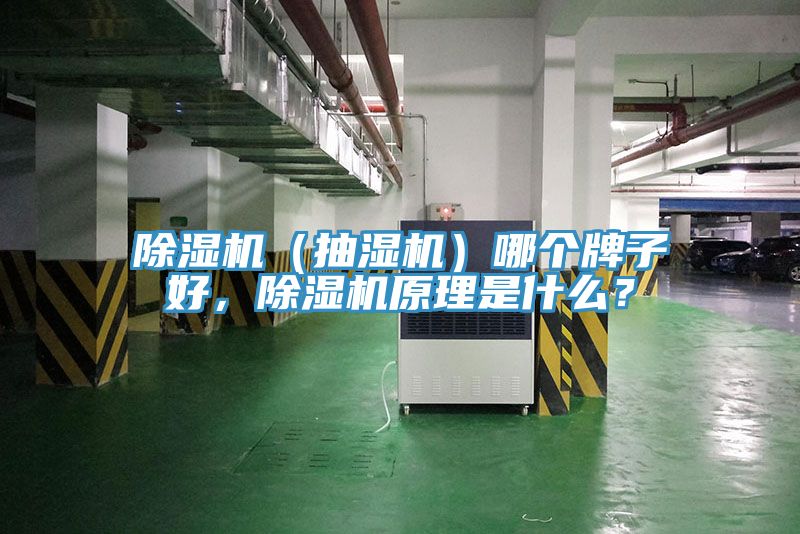 除濕機(jī)（抽濕機(jī)）哪個牌子好，除濕機(jī)原理是什么？