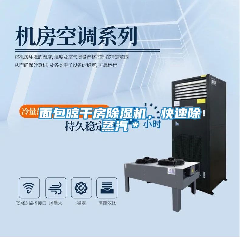 面包晾干房除濕機(jī)，快速除蒸汽＊