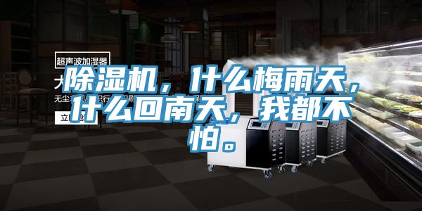 除濕機(jī)，什么梅雨天，什么回南天，我都不怕。