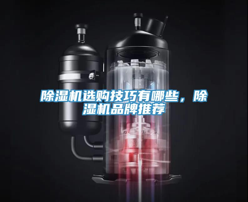 除濕機(jī)選購(gòu)技巧有哪些，除濕機(jī)品牌推薦