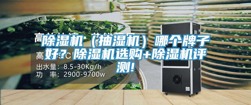 除濕機(jī)（抽濕機(jī)）哪個牌子好？除濕機(jī)選購+除濕機(jī)評測!