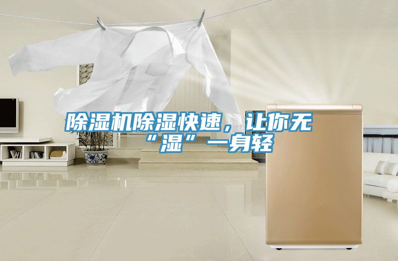 除濕機除濕快速，讓你無“濕”一身輕