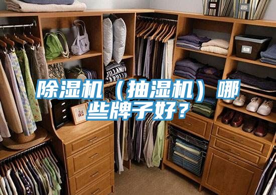 除濕機(jī)（抽濕機(jī)）哪些牌子好？