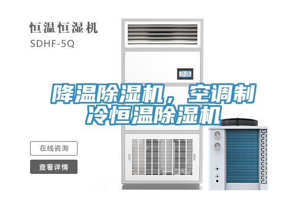 降溫除濕機(jī)，空調(diào)制冷恒溫除濕機(jī)