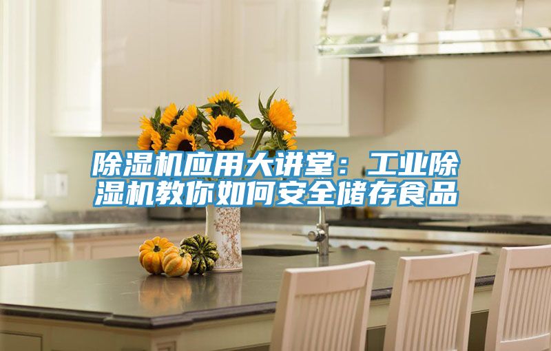 除濕機(jī)應(yīng)用大講堂：工業(yè)除濕機(jī)教你如何安全儲存食品
