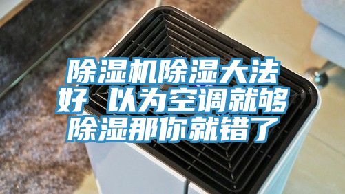 除濕機(jī)除濕大法好 以為空調(diào)就夠除濕那你就錯了