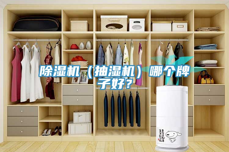 除濕機(jī)（抽濕機(jī)）哪個牌子好？