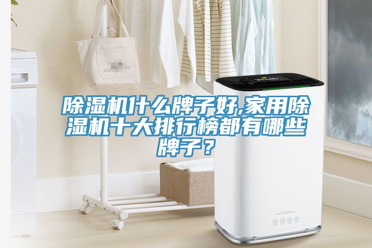 除濕機什么牌子好,家用除濕機十大排行榜都有哪些牌子？