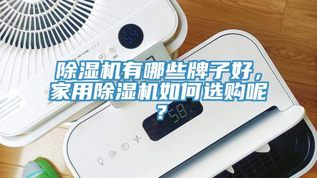 除濕機(jī)有哪些牌子好，家用除濕機(jī)如何選購呢？