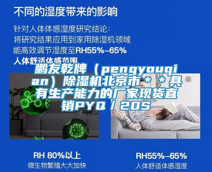 鵬友乾牌（pengyouqian）除濕機(jī)北京市＊＊具有生產(chǎn)能力的廠家現(xiàn)貨直銷(xiāo)PYQ／20S