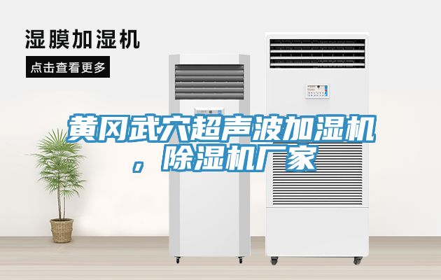 黃岡武穴超聲波加濕機(jī)，除濕機(jī)廠家