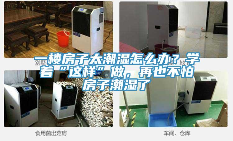 一樓房子太潮濕怎么辦？學著“這樣”做，再也不怕房子潮濕了