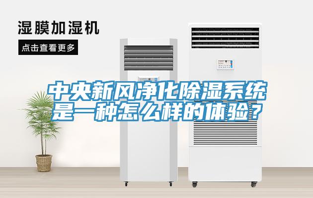 中央新風凈化除濕系統(tǒng)是一種怎么樣的體驗？