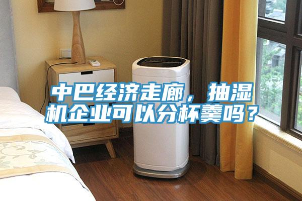 中巴經(jīng)濟(jì)走廊，抽濕機(jī)企業(yè)可以分杯羹嗎？