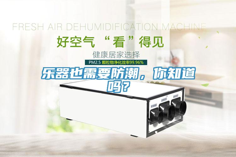 樂(lè)器也需要防潮，你知道嗎？