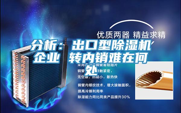 分析：出口型除濕機企業(yè) 轉內(nèi)銷難在何處