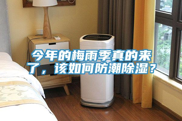 今年的梅雨季真的來了，該如何防潮除濕？
