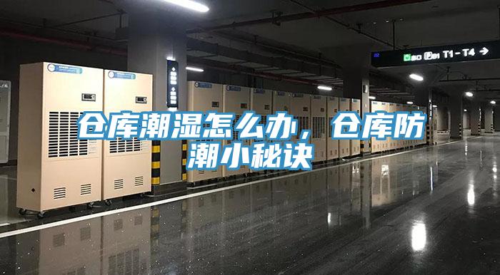 倉庫潮濕怎么辦，倉庫防潮小秘訣