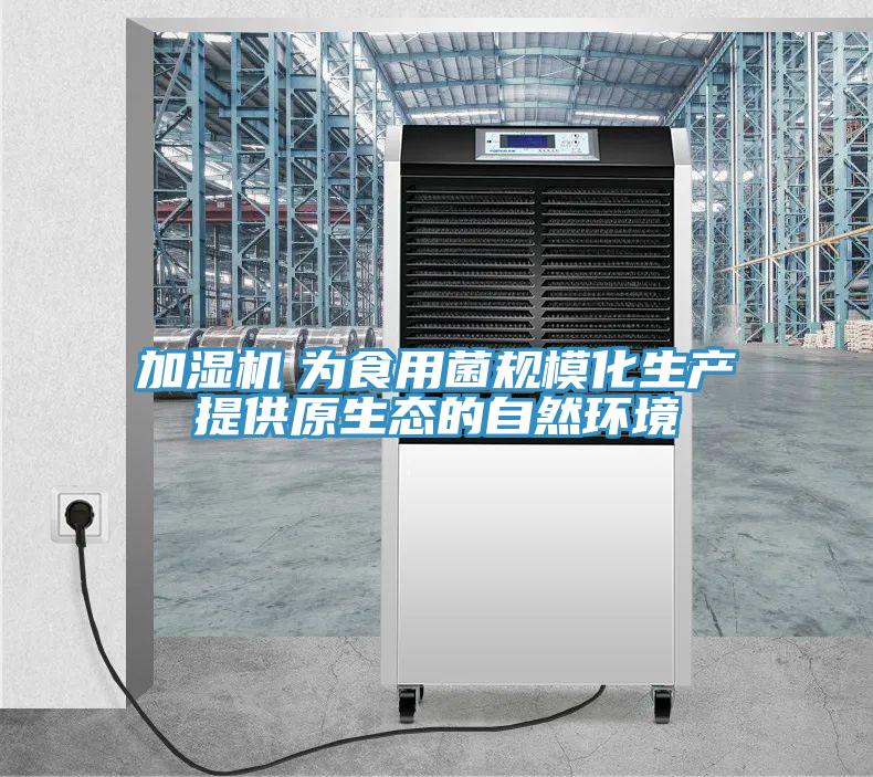 加濕機(jī)　為食用菌規(guī)?；a(chǎn)提供原生態(tài)的自然環(huán)境