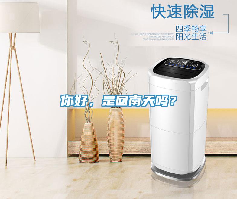 你好，是回南天嗎？